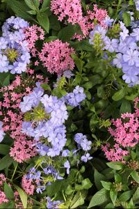 Xingfudoufu 上海前灘雅辰悅居飯店優惠