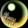Avatar 3