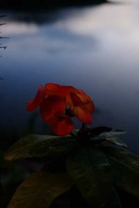 Tomxie21 哈爾施塔特歷史酒店優惠