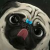 user-icon
