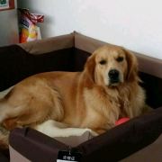 Gulang8150 香港富豪機場酒店優惠