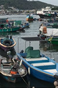 ybeng 芝加哥市區/華麗一英里希爾頓花園旅館優惠