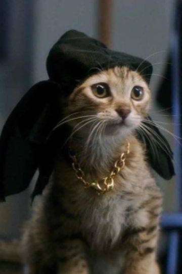 Xiaokeshiduopili ホテル日航アリビラ クーポン