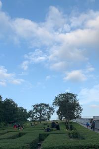 Lvyincongcong 佛山希爾頓花園飯店優惠