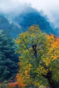 0627**** 世紀古城布拉格酒店 - 美憬閣優惠