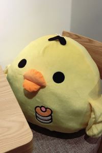 ZailushangdeZxiaojie