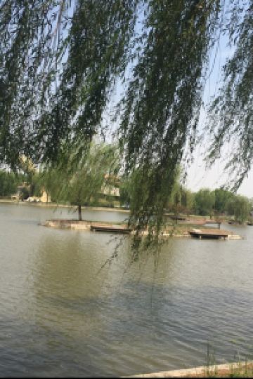 Tianshuigeyifang 夢海游 淡路島 クーポン