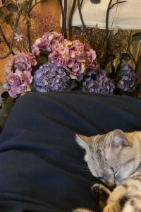 M253251**** 岳陽鉑爾曼酒店優惠