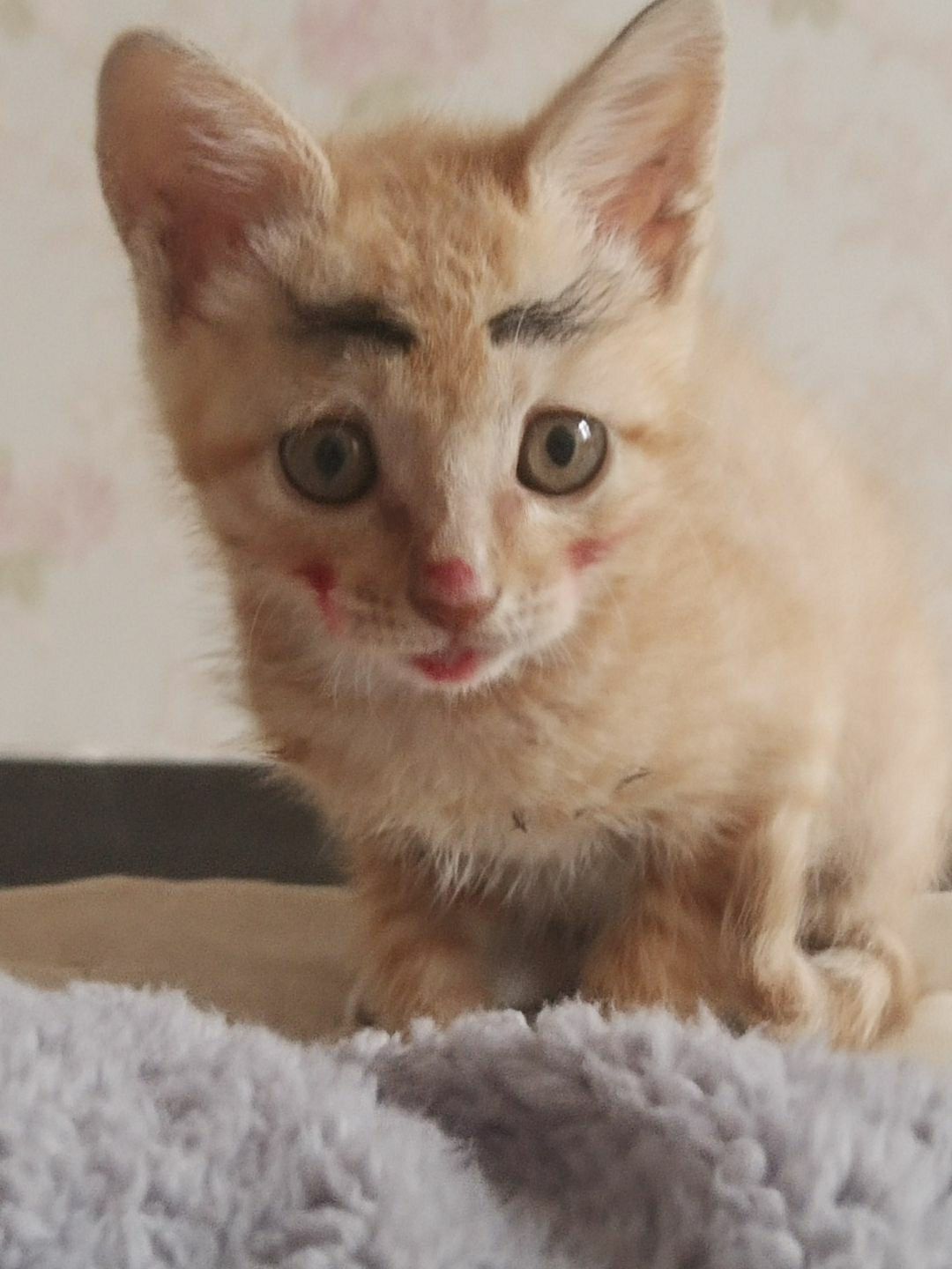 head-img