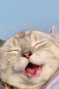 M59579**** 天緣太空艙飯店（烏魯木齊T2店）優惠