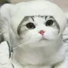 Avatar 3