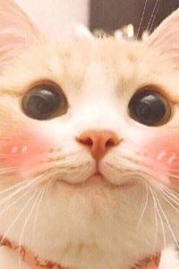 _WeChat29318**** 杭州開元森泊度假酒店優惠