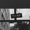 user-icon