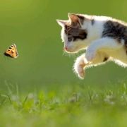 E4701**** 豐中精品花園大阪國際機場酒店優惠