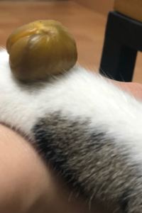 Yemaolee 南京南站亞朵飯店優惠