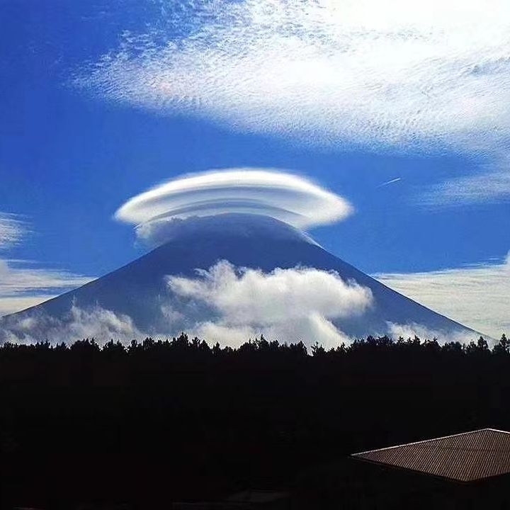head-img