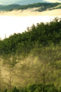 inymee 武漢光谷廣場楊家灣卡繆飯店優惠