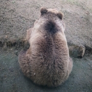 head-img