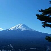 Daxiongmaodetutu 佛山北滘希爾頓歡朋飯店優惠