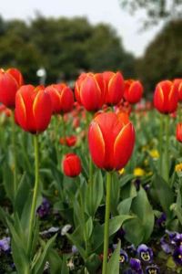 Ksjuter キャビン＆カプセルホテル J-SHIP大阪難波 クーポン