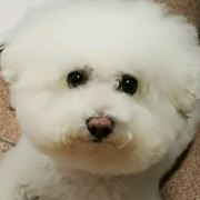 katydid_liu 聊城麗洲璞悦酒店優惠