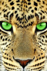 1866800**** 美飯店優惠