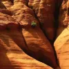Avatar 1