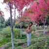 Avatar 3