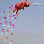 阿煜elf