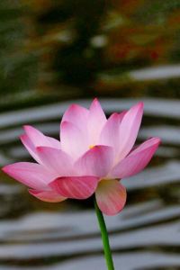 Geweitiantiankaixin 杜拜大都會酒店優惠