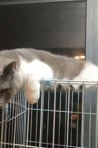 Aichijiyouaichiyudemao 旅家飯店優惠