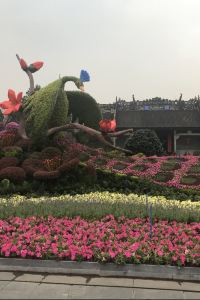 300238**** 香港升悅賓館優惠