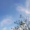 Avatar 3