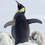 Hailupiaoyu 歐遊國際連鎖精品旅館-新荘館優惠