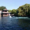 Avatar 1