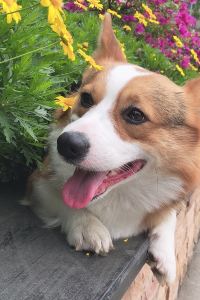 1366813**** 廈航Hotel 1987（廈門火車站明發廣場店）優惠