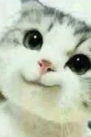 _M1380168**** 知床第一ホテル クーポン