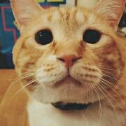 Xihuannidexig 順德大良智選假日飯店（清暉園店）優惠