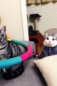 리뷰어