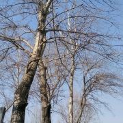 brucelam123 康鉑飯店（揚州古運河東關街何園店）優惠