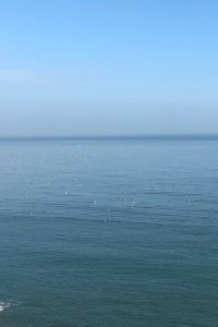 M307477**** 上海虹橋機場空港路亞朵X飯店優惠