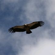 73073173 JR西日本グループ ヴィアイン京都駅八条口 クーポン