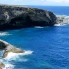 Avatar 3