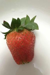 M28437**** 陽朔潼鄉度假酒店優惠