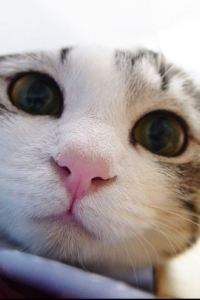 Megumi2046 西鉄グランドホテル クーポン