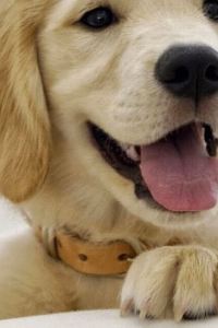 Yizhizaixiayu 舟山中信普陀大飯店優惠