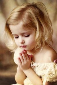 320595**** 合肥綠地福朋喜來登飯店優惠