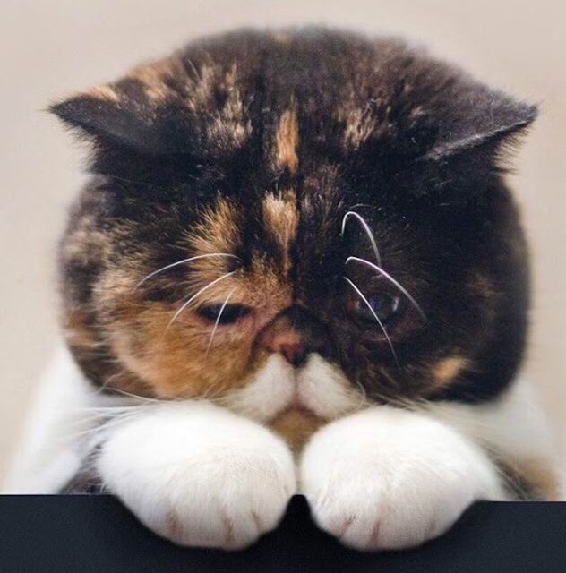 head-img