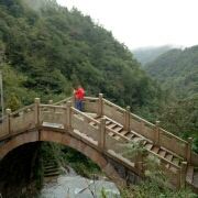 M256194**** 石浦大飯店（華府店）優惠