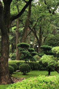 lancy139 紐約時代廣場洲際飯店優惠